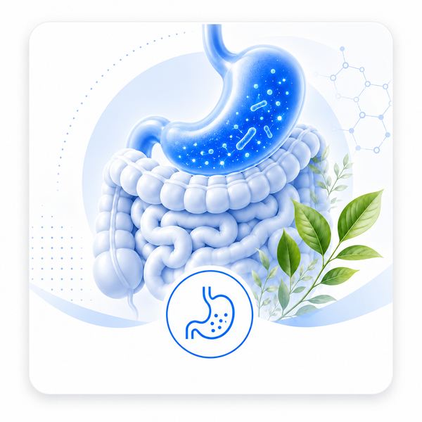 Digestión y bienestar
